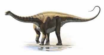 Recreación del 'Demandasaurus darwini'. Imagen: Fidel Torcida.