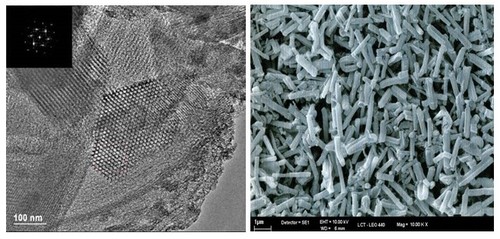 Imágenes tomadas con microscopía electrónica de transmisión muestran la estructura de los poros dentro de nanotubos.
