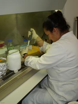 Una investigadora trabaja en el laboratorio.