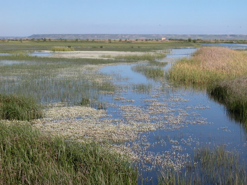 Laguna de La Nava, en Palencia (Foto: Global Nature)