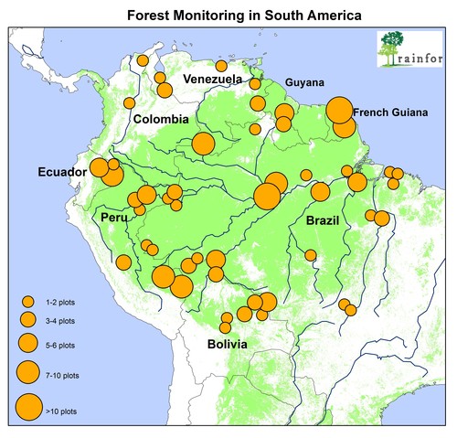 Mapa de los lugares monitoreados por RAINFOR. Imagen: RAINFOR.