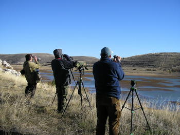 Un grupo de ornitólogos realizando el censo