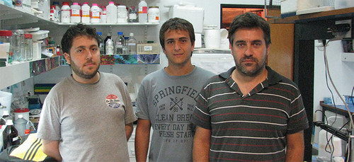 Los autores del hallazgo, Emiliano Marachlian, Martin Klappenbach y Fernando Locatelli. FOTO: AGENCIA CYTA