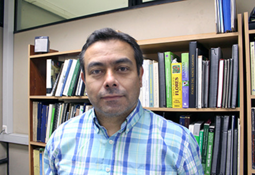 Doctor Sergio A. Castro, responsable de la investigación. FOTO: USACH