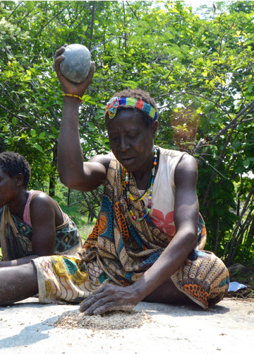 Mujer Hazda moliendo semillas de Baobab/Benito-Calvo et al.