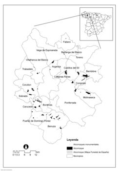 Distribución de alcornocales en El Bierzo y La Cabrera.