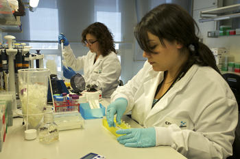 Trabajos de análisis de muestras en el CNAG de Barcelona. Foto: CSIC.