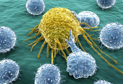 Célula tumoral atacada por las nanopartículas. Imagen: Eva M. del Valle.