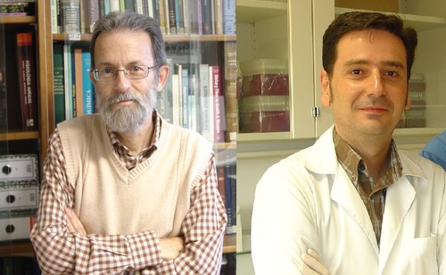 Javier González-Gallego y José Luis Mauriz, investigadores de IBIOMED.