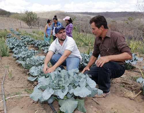 Agricultores de Guatemala/MAGA