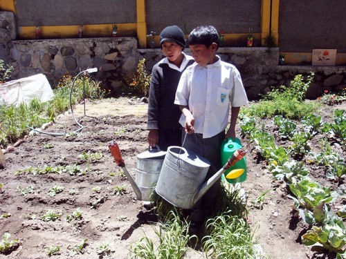 Niños practicando actividades de agricultura en Perú.