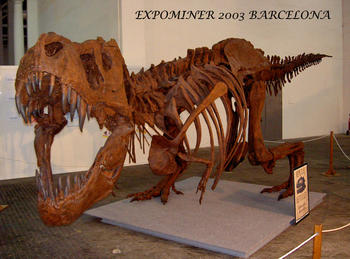 Reproducción del Tyrannosaurus Rex en la Feria Expominer 2003 en Barcelona.