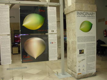 Algunas piezas de la exposición 'Imaginary'.