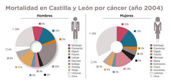 Gráfico sobre los últimos datos completos de mortalidad en cáncer en Castilla y León, correspondientes al año 2004.