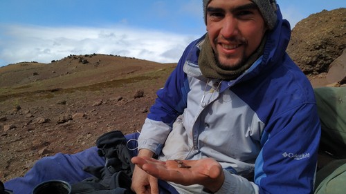 El paleontólogo Mauro Aranciaga sostiene algunos restos del megarraptor.