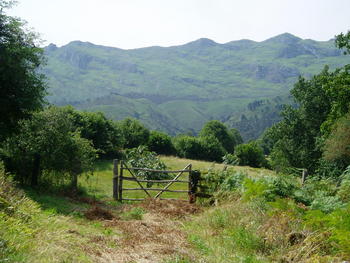 Imagen de un prado en un paisaje de montaña