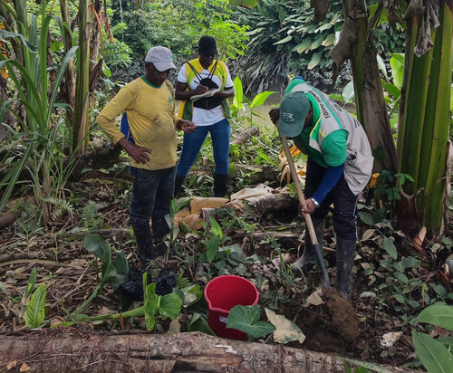 Los investigadores del IIAP y de la UNAL toman muestras de suelo de las áreas afectadas por la minería en Chocó. Foto: Instituto de Investigaciones Ambientales del Pacífico (IIAP).