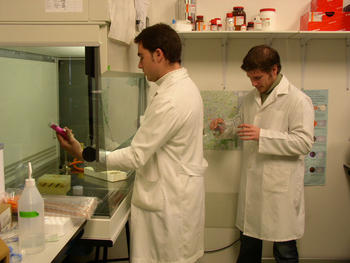 Una imagen del equipo de Samuel González en el laboratorio
