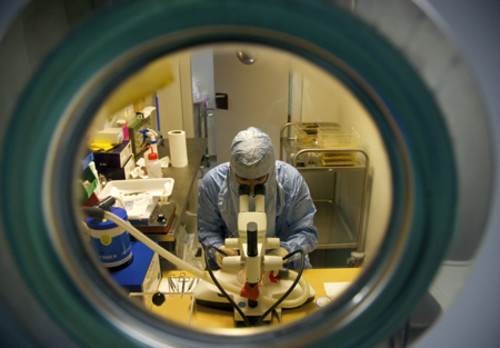 Un investigador trabaja con ratones en el Centro de Investigaciones Biológicas. Foto: CSIC/Joan Costa.