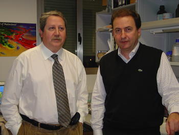 Luis Muñoz Bellvís y Alberto Orfao en los laboratorios del Centro del Cáncer de Salamanca