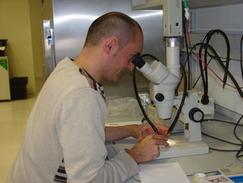 El profesor ante uno de los microscopios de la Escuela de Ingenieros Agrónomos