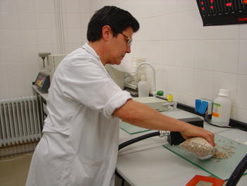 Inmaculada González Martín analizando analizando unas muestras en el laboratorio