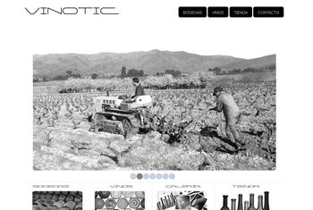 Web del proyecto Vinotic.