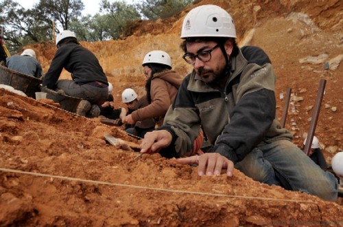 Antonio Rodríguez excavando restos de bisonte en la Gran Dolina (FOTO: IPHES).