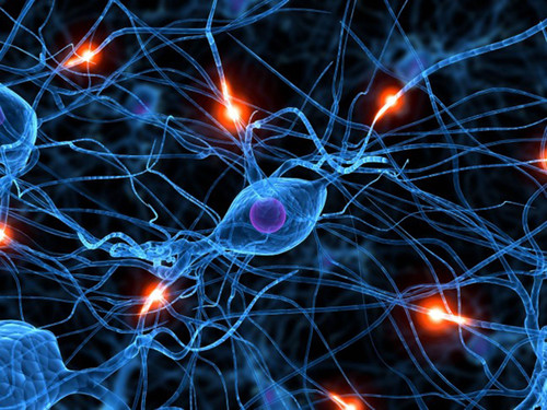Marañas en las neuronas impiden la comunicación entre ellas y ocasionan en los pacientes la pérdida de memoria  en el alzheimer. FOTO: UNAM