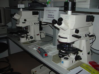 Microscopios del Centro del Cáncer