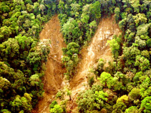 Los deslizamientos de tierra son muy comunes en la Cuenca del Canal de Panamá. Foto: STRI.