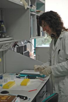 Una investigadora, en un laboratorio del Centro Nacional de Biotecnología, del CSIC.