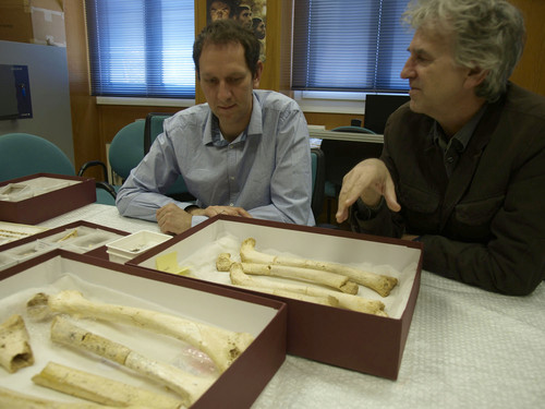El equipo científico charla junto algunos huesos fósiles hallados en la Sima de los Huesos. Javier Trueba / Madrid Scientific Films