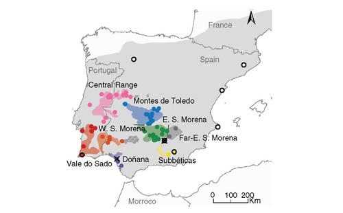 Mapa distribución poblaciones de antiguas e históricas gamas de linces ibéricos/ULE
