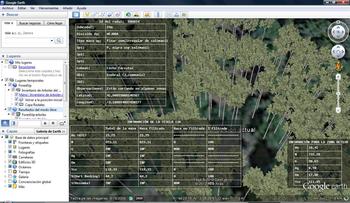 La aplicación permite convertir Google Earth en un simulador de bosques en 3D (FOTO: Agresta).