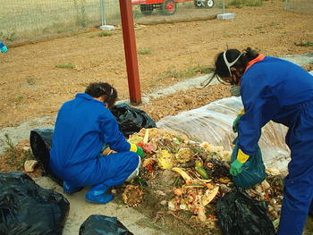 Voluntarios trabajando en la planta de compostaje