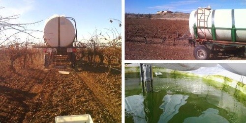'Collage' con aplicación de microalgas como abono en terrenos agrícolas. En la imagen inferior derecha, un tanque con las microalgas/UVa