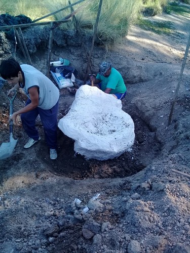 Trabajos de recuperación del gliptodonte hallado en una estancia de Marcos Paz.