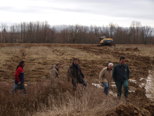 Repueblan con chopos para contribuir a la conservación de los suelos en Palencia. FOTO: JCYL.
