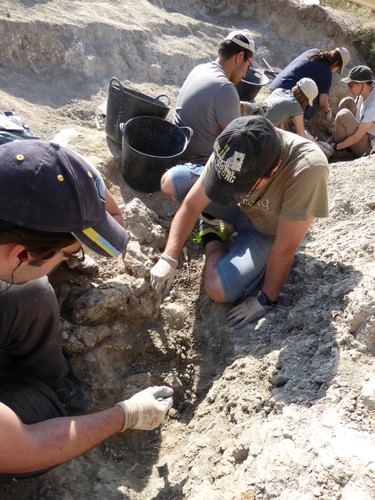 Excavaciones paleontológicas en la Sierra de la Demanda (Burgos) en el yacimiento Valdepalazuelos-Tenadas del Carrascal/CAS