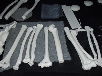 Réplicas de huesos hechas por sinterizado.