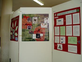 Primera sesión de posters programada dentro del IV Congreso de Fisiología Vegetal Aplicada