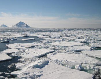 Ártico. Foto: CSIC.