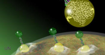 Detección temprana de células cancerígenas con nanopartículas.