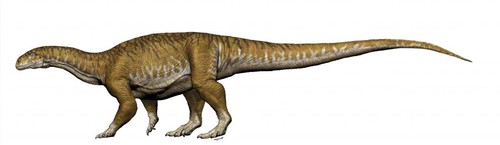 Ilustración del dinosaurio 'Ingentia prima', que llegço a medir entre 8 y 10 metros/Jorge A. González 
