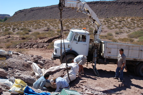 Camión levantando los restos fósiles.