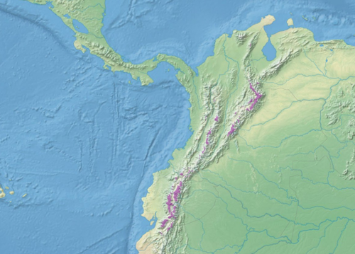 Las áreas púrpuras representan “islas” de vegetación del páramo. 