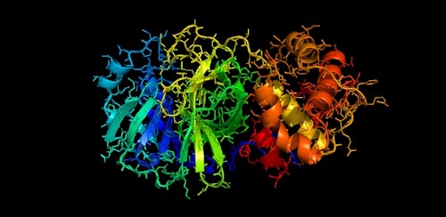 Modelo tridimensional de una de las proteasas del nuevo coronavirus/ Wikimedia Commons