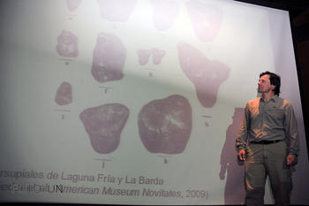 Las investigaciones del profesor Marcelo Tejedor se han enfocado en los primates del Mioceno temprano, marsupiales patagónicos, mamíferos paleógenos, y los Cingulata y Platyrrhini del Mioceno medio.