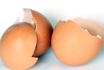 Cáscara de huevo (FOTO: UN).
